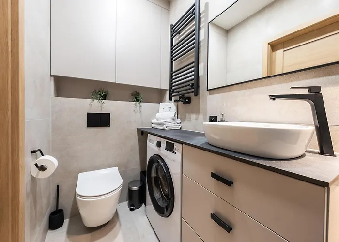 公寓 Tespis - Zabrska 15 Next To Global Office Park 卡托维兹